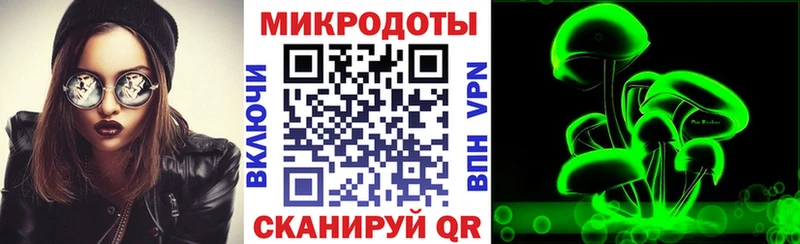 Купить где  Новодвинск  Галлюциногенные грибы мицелий 